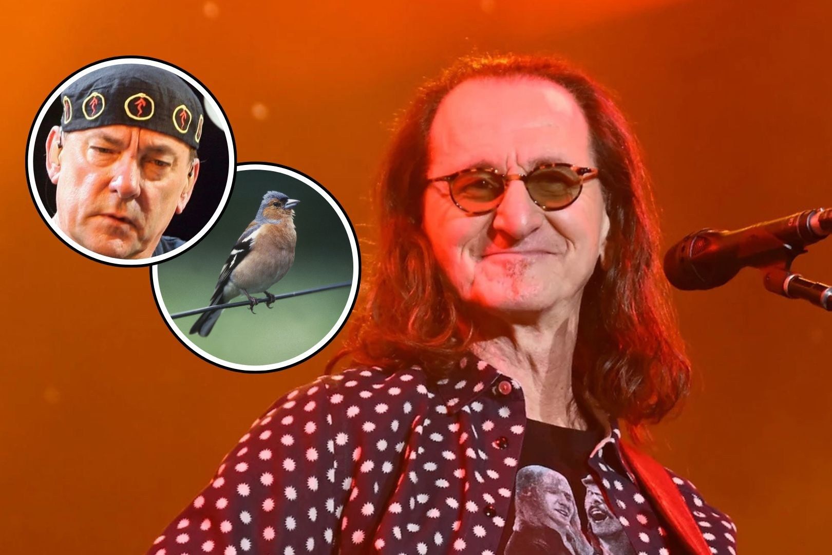 Featured image Geddy Lee reveals Neil Pearts Crazy sign on the 2026 Tour