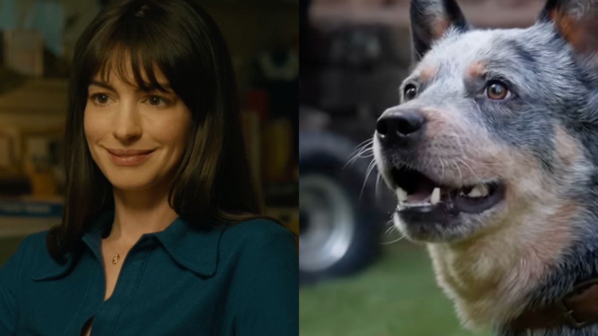 Featured image Anne Hathaway demands R rating for movies with dog deaths