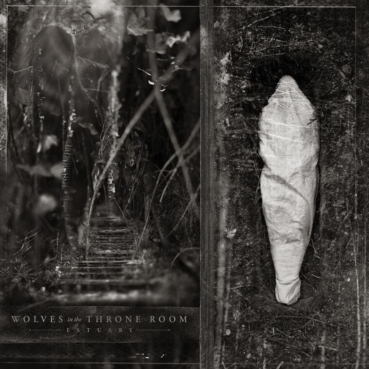 Featured image Wolves in the Throne Room announce new album stream Ghosts Among the Obelisks