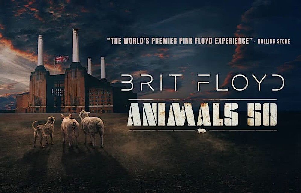 Featured image Brit Floyd announces 2027 North American Animals 50 Tour